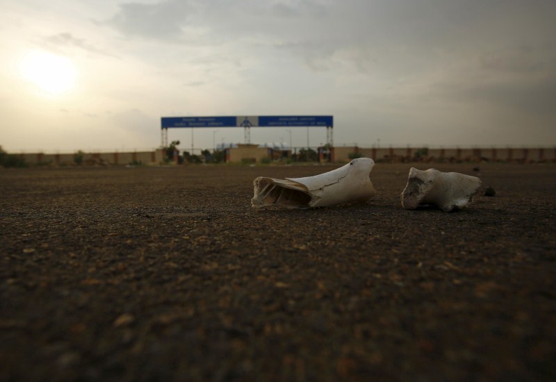 Not a single passenger has passed through the gates of Jaisalmer Airport, two years after the completion of a $17 million terminal. India's Abandoned Airport,Abandoned Airport,ghost Airport,India's brand new ghost airport,India's new ghost airport,India's ghost airport,Jaisalmer Airport