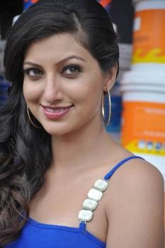 Hamsa Nandini