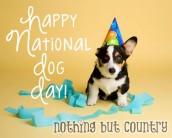 National Dog Day 2015 Pictures.