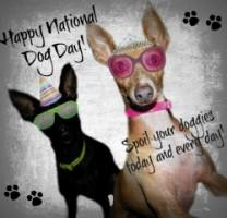 National Dog Day,happy National Dog Day,National Dog Day 2015,National Dog Day quotes,National Dog Day pictures,National Dog Day message