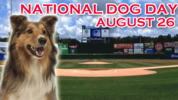 National Dog Day,happy National Dog Day,National Dog Day 2015,National Dog Day quotes,National Dog Day pictures,National Dog Day message