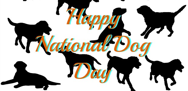 National Dog Day 2015 Pictures. National Dog Day,happy National Dog Day,National Dog Day 2015,National Dog Day quotes,National Dog Day pictures,National Dog Day message