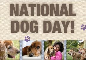 National Dog Day,happy National Dog Day,National Dog Day 2015,National Dog Day quotes,National Dog Day pictures,National Dog Day message