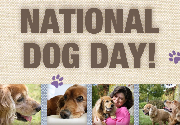 National Dog Day 2015 Pictures. National Dog Day,happy National Dog Day,National Dog Day 2015,National Dog Day quotes,National Dog Day pictures,National Dog Day message