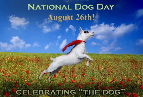 National Dog Day 2015 Pictures. National Dog Day,happy National Dog Day,National Dog Day 2015,National Dog Day quotes,National Dog Day pictures,National Dog Day message