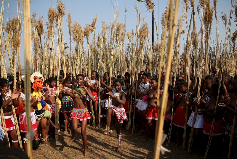 Maidens dance as they take part in the last day of the Reed Dance at Ludzidzini Royal Palace in Swaziland, August 31, 2015. Reed Dance Festival,Reed Dance Festival in Swaziland,Swaziland Reed Dance festival,mourn dead girls,dancing virgin festival,virgin festival