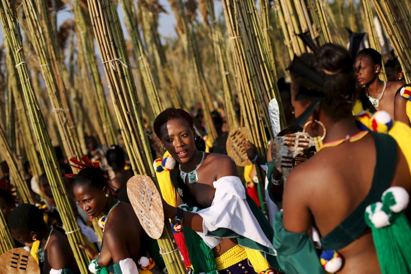 Maidens dance as they take part in the last day of the Reed Dance at Ludzidzini Royal Palace in Swaziland, August 31, 2015. Reed Dance Festival,Reed Dance Festival in Swaziland,Swaziland Reed Dance festival,mourn dead girls,dancing virgin festival,virgin festival