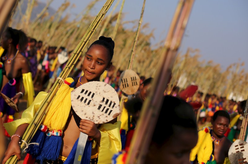 Maidens dance as they take part in the last day of the Reed Dance at Ludzidzini Royal Palace in Swaziland, August 31, 2015. Reed Dance Festival,Reed Dance Festival in Swaziland,Swaziland Reed Dance festival,mourn dead girls,dancing virgin festival,virgin festival