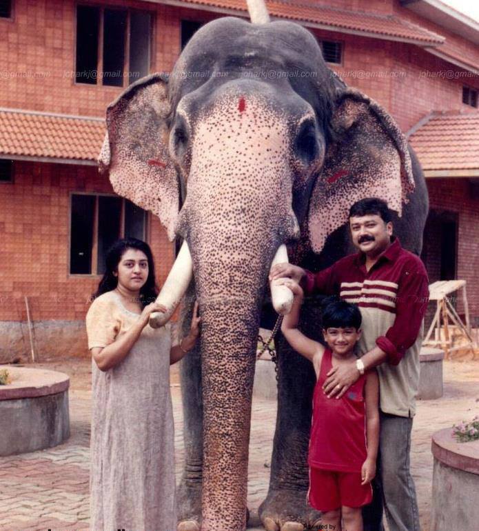 Celebrity couple Jayaram and Parvathy celebrate their 23rd wedding anniversary on 7 September. Jayaram parvathy,jayaram parvathy photos,jayaram parvathy wedding anniversary,jayaram family photos,jayaram parvathy wedding photos