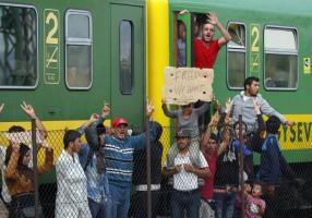 Migrant Train,Migrant Train standoff in Hungary,Syrian refugees,refugees,Freedom Train,Hundreds of migrants