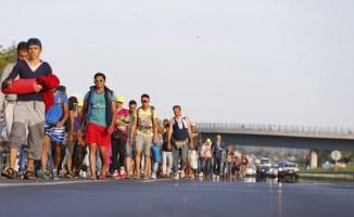 Hundreds of migrants,Budapest,Austria,The long march to Austria,Migrants,refugees