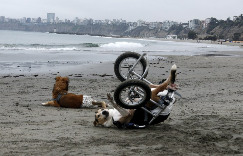 Our top photos from the past week. Pictures of the week,Pictures of the day,top Pictures,Best pictures of the week,Best pictures,pictures of the week photos,pictures of the week images