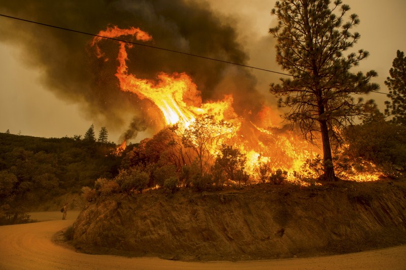 A Northern California wildfire ranked as the most destructive to hit the drought-stricken U.S. West this year has killed a woman and burned some 400 homes to the ground, fire officials said on Monday and they expect the property toll to climb. California Wildfire,Northern California wildfire,wildfire,Hundreds of houses go up in flames,houses go up in flames