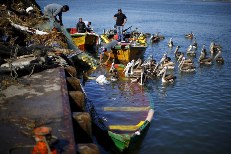A magnitude 8.3 earthquake in central Chile killed 11 people and slammed powerful waves into coastal towns, forcing more than a million people from their homes. Chile Rocked by Earthquake,Earthquake,Chile Earthquake,Earthquake in Chile,8.3 earthquake,8.3 magnitude earthquake