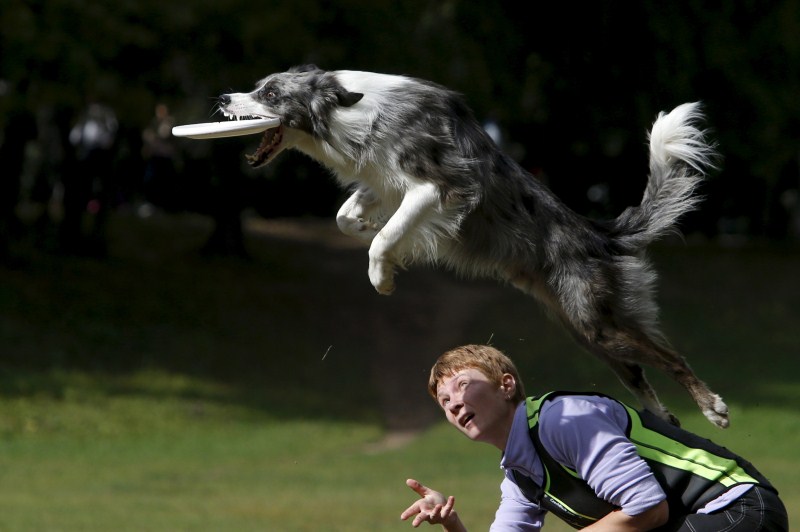 Top photos from the past week. Pictures of the Week,Pictures of the day,best pictures,top pictures,top pictures of the day,best pictures of the day,best pictures of the week