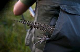 First day of the Italy hunting season,Italy hunting season,Hunting season in Italy,Hunting in Italy