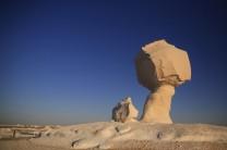 The White Desert features limestone and chalk forms strangely shaped by the wind and sand.