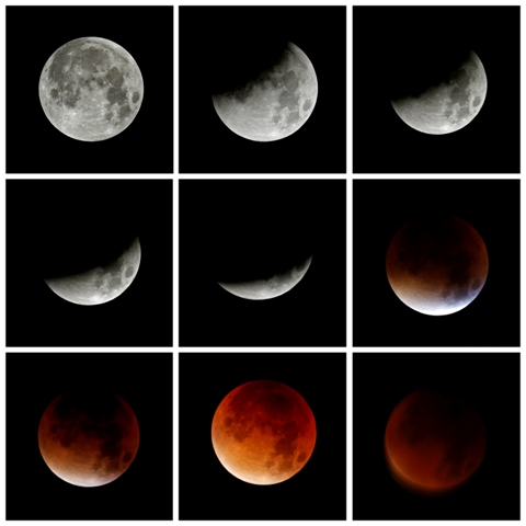The total 'supermoon' lunar eclipse, also known as a 'blood moon' is one that appears bigger and brighter than usual as it reaches the point in its orbit that is closest to Earth. Supermoon photos,blood moon photos,supermoon live,supermoon in india 2015,supermoon pictures from world,blood moon real photos,supermoon real photos,Blood Moon 2015