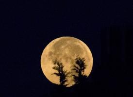 Supermoon photos,blood moon photos,supermoon live,supermoon in india 2015,supermoon pictures from world,blood moon real photos,supermoon real photos,Blood Moon 2015