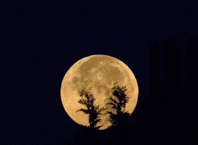 The total 'supermoon' lunar eclipse, also known as a 'blood moon' is one that appears bigger and brighter than usual as it reaches the point in its orbit that is closest to Earth. Supermoon photos,blood moon photos,supermoon live,supermoon in india 2015,supermoon pictures from world,blood moon real photos,supermoon real photos,Blood Moon 2015