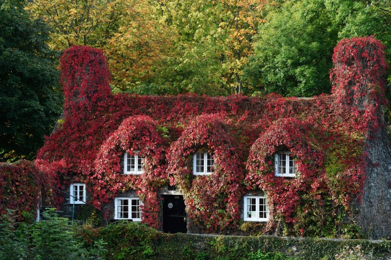 Call it autumn or fall, the change of season is with us. And a riot of colour comes with it. Here are some beautiful pics. Autumn Beauty,Autumn Beauty 2015,Autumn Beauty wallpaper,Autumn Beauty quotes,wallpaper,beautiful pics,photography