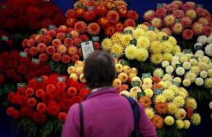 Autumn Beauty,Autumn Beauty 2015,Autumn Beauty wallpaper,Autumn Beauty quotes,wallpaper,beautiful pics,photography