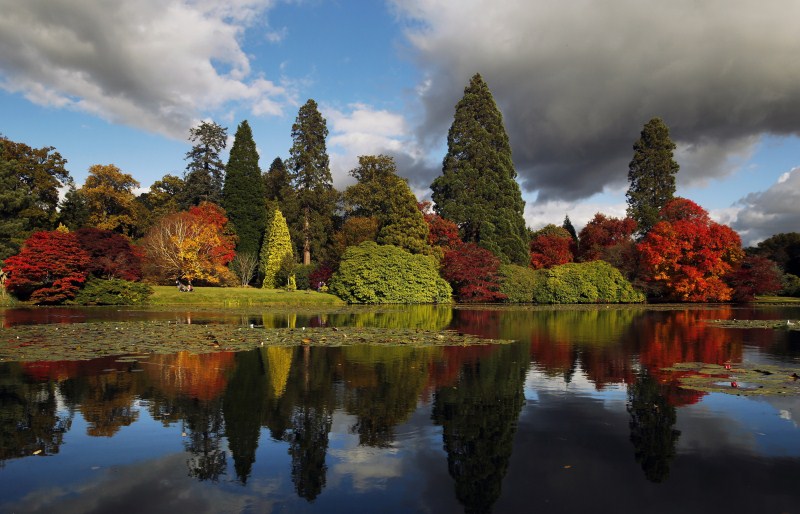 Call it autumn or fall, the change of season is with us. And a riot of colour comes with it. Here are some beautiful pics. Autumn Beauty,Autumn Beauty 2015,Autumn Beauty wallpaper,Autumn Beauty quotes,wallpaper,beautiful pics,photography