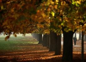 Autumn Beauty,Autumn Beauty 2015,Autumn Beauty wallpaper,Autumn Beauty quotes,wallpaper,beautiful pics,photography