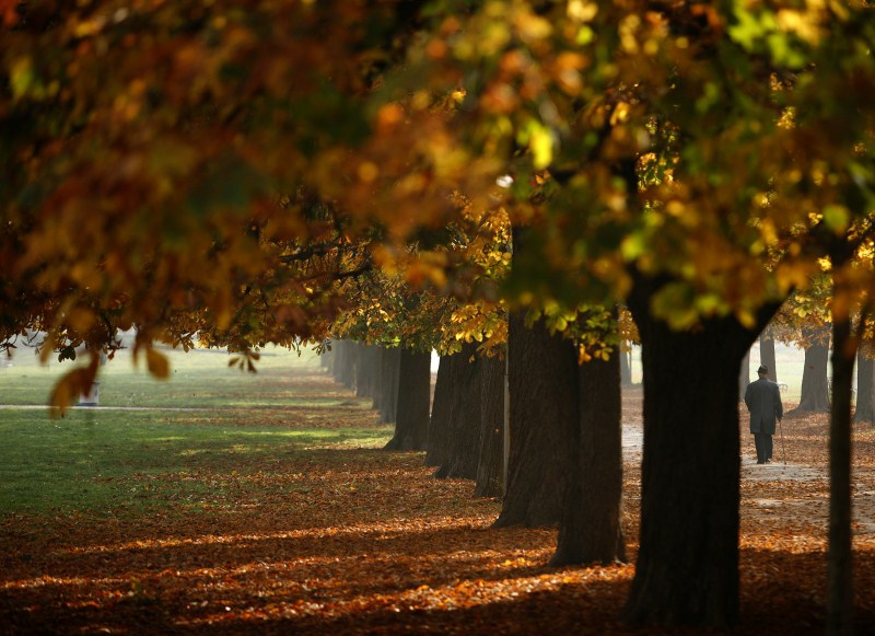 Call it autumn or fall, the change of season is with us. And a riot of colour comes with it. Here are some beautiful pics. Autumn Beauty,Autumn Beauty 2015,Autumn Beauty wallpaper,Autumn Beauty quotes,wallpaper,beautiful pics,photography
