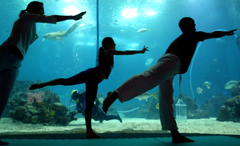 From museums to Times Square - yoga being practiced in unusual places. Yoga,Yoga in unexpected places,Yoga practices,different type of yoga,Performing yoga at unexpected places
