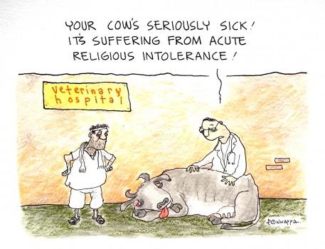 And now, the cow seems to be suffering from the growing religious intolerance, thanks to the on and off violence over the issue of cow slaughter and beef ban.
