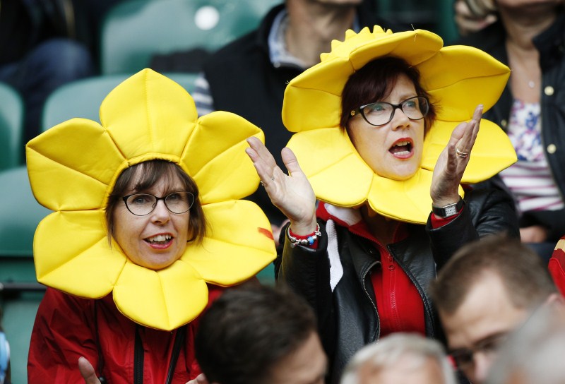 Fans posses during the IRB Rugby World Cup 2015 in Kingsholm. Rugby World Cup,Rugby World Cup 2015,IRB Rugby World Cup 2015,IRB Rugby World Cup,Fans posses,face paint