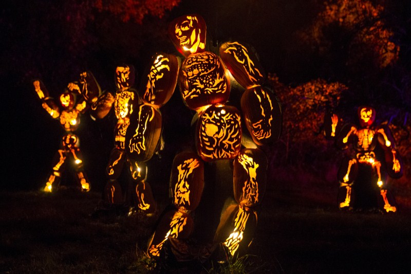 The annual Great Jack O' Lantern Blaze in New York showcases over 7,000 hand carved illuminated Jack O' Lanterns. Great Jack O' Lantern Blaze,Great Jack O' Lantern Blaze 2015,Jack O' Lanterns,Jack O' Lanterns 2015,The great pumpkin,The great pumpkin show,pumpkin show,pumpkin show 2015