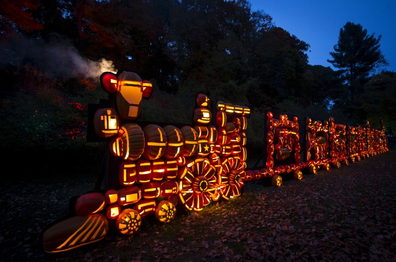 The annual Great Jack O' Lantern Blaze in New York showcases over 7,000 hand carved illuminated Jack O' Lanterns. Great Jack O' Lantern Blaze,Great Jack O' Lantern Blaze 2015,Jack O' Lanterns,Jack O' Lanterns 2015,The great pumpkin,The great pumpkin show,pumpkin show,pumpkin show 2015