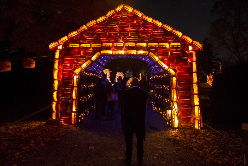 The annual Great Jack O' Lantern Blaze in New York showcases over 7,000 hand carved illuminated Jack O' Lanterns. Great Jack O' Lantern Blaze,Great Jack O' Lantern Blaze 2015,Jack O' Lanterns,Jack O' Lanterns 2015,The great pumpkin,The great pumpkin show,pumpkin show,pumpkin show 2015