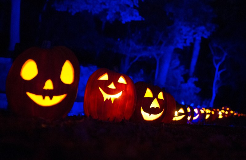 The annual Great Jack O' Lantern Blaze in New York showcases over 7,000 hand carved illuminated Jack O' Lanterns. Great Jack O' Lantern Blaze,Great Jack O' Lantern Blaze 2015,Jack O' Lanterns,Jack O' Lanterns 2015,The great pumpkin,The great pumpkin show,pumpkin show,pumpkin show 2015