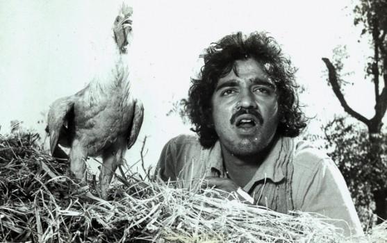 Kamal Hassan is the versatile actor in Indian film Industry. In his 60 long career Kamal Hassan has tried different getups in various movies. Let's have a look at Kamal Hassan's ten wackiest avatars in Indian Cinema.