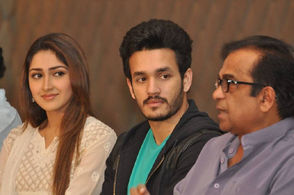 Telugu Movie Akhil: The Power Of Jua success meet held at Hyderabad. Actor Akkineni Nagarjuna, Akhil Akkineni, Nithin Reddy, Actress Sayesha Saigal, Director VV Vinayak, Comedy Actor Brahmanandam, Vennela Kishore and Sudhakar Reddy graced the event. Akhil Movie Success Meet,Akhil Success Meet,Akkineni Nagarjuna,Akhil Akkineni,Nithin Reddy,Sayesha Saigal,VV Vinayak,Brahmanandam,Vennela Kishore,Sudhakar Reddy,Akhil Movie Success Meet pics,Akhil Movie Success Meet images,Akhil Movie Success Meet photos