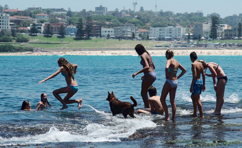 Australia's Bureau of Meteorology recorded temperatures over 40 degrees celsius (104 Fahrenheit) on Friday, with the possibility of breaking the November record of 41.8 degrees set in 1982. Heat Wave,Heat Wave across Australia,Heat Wave hits Australia,Australia Heat Wave