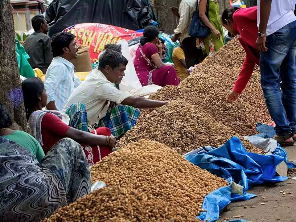 Kadalekai Parishe is an annual groundnut festival will be held on Karthika Masa (month in the Hindu calendar) near the Dodda Ganesha temple, near the Bull Temple at Basavanagudi in Bangalore. Kadalekai Parishe,Kadalekai Parishe 2015,groundnut festival,Dodda Ganesha temple,Bull Temple,Basavanagudi,Bangalore festival