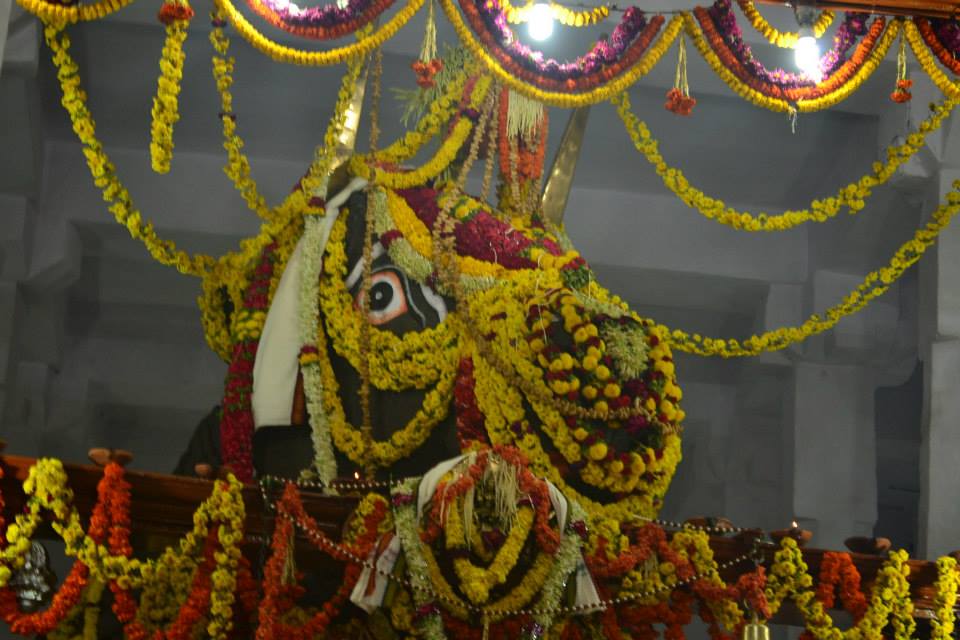 Kadalekai Parishe is an annual groundnut festival will be held on Karthika Masa (month in the Hindu calendar) near the Dodda Ganesha temple, near the Bull Temple at Basavanagudi in Bangalore. Kadalekai Parishe,Kadalekai Parishe 2015,groundnut festival,Dodda Ganesha temple,Bull Temple,Basavanagudi,Bangalore festival