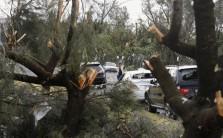 A rare tornado hits the suburbs of Sydney with destructive winds above 200km an hour (125 mph) and cricket ball-sized hail, bringing down trees and power lines, sheering off roofs and causing flash flooding in Australiaâ€™s largest city.