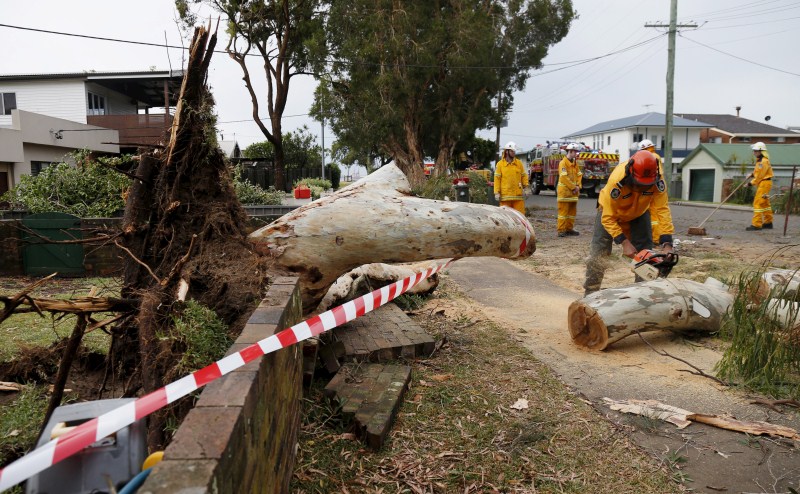 A rare tornado hits the suburbs of Sydney with destructive winds above 200km an hour (125 mph) and cricket ball-sized hail, bringing down trees and power lines, sheering off roofs and causing flash flooding in Australia’s largest city. Rare tornado,Tornado takes Sydney,Tornado hits Sydney,thunderstorms,thunderstorms hits Australia,thunderstorms hits Sydney