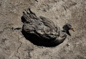 Bolivia's Lake Poopo,Lake Poopo dries up,Lake Poopo,Titicaca,second largest lake