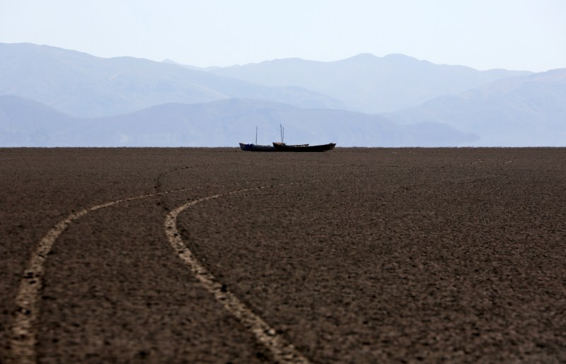 Lake Poopo, Bolivia’s formerly second largest lake after the famed Titicaca, has dried up completely. With the water gone, millions of animals have died. In turn, the local families are forced to migrate, having lost much of their sustenance. Bolivia's Lake Poopo,Lake Poopo dries up,Lake Poopo,Titicaca,second largest lake