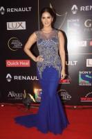Guild Awards 2015,Guild Awards,Star guild awards,Priyanka,Sunny Leone,Sonam,Sonakshi,Ranveer
