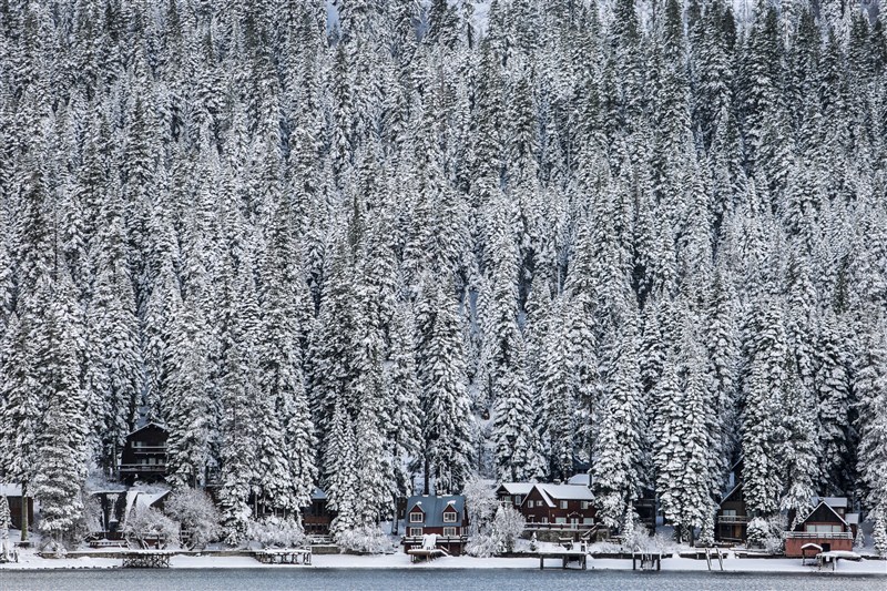 Snow in California, green hills at Europe's ski resorts, and more unusual winter weather around the world. Wild winter weather,Wild winter weather around the world,winter around the world,Snow in California,green hills at Europe,unusual winter weather