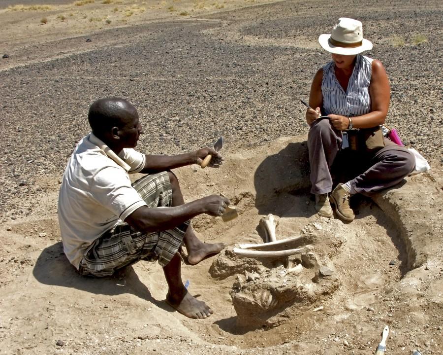 Scientists have found grisly evidence of a massacre in Kenya about 10,000 years ago. Robert Burns,massacre in Kenya,massacre,Prehistoric massacre in Kenya,Prehistoric massacre,fossils,oldest evidence,skeleton,oldest skeleton,human skeleton,human skull