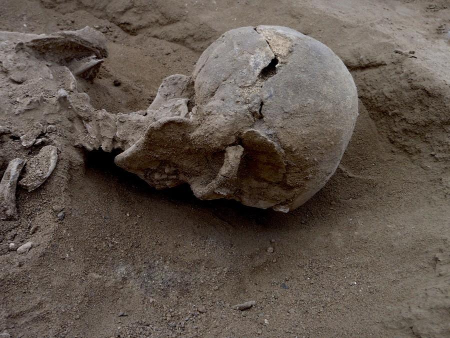 Scientists have found grisly evidence of a massacre in Kenya about 10,000 years ago. Robert Burns,massacre in Kenya,massacre,Prehistoric massacre in Kenya,Prehistoric massacre,fossils,oldest evidence,skeleton,oldest skeleton,human skeleton,human skull
