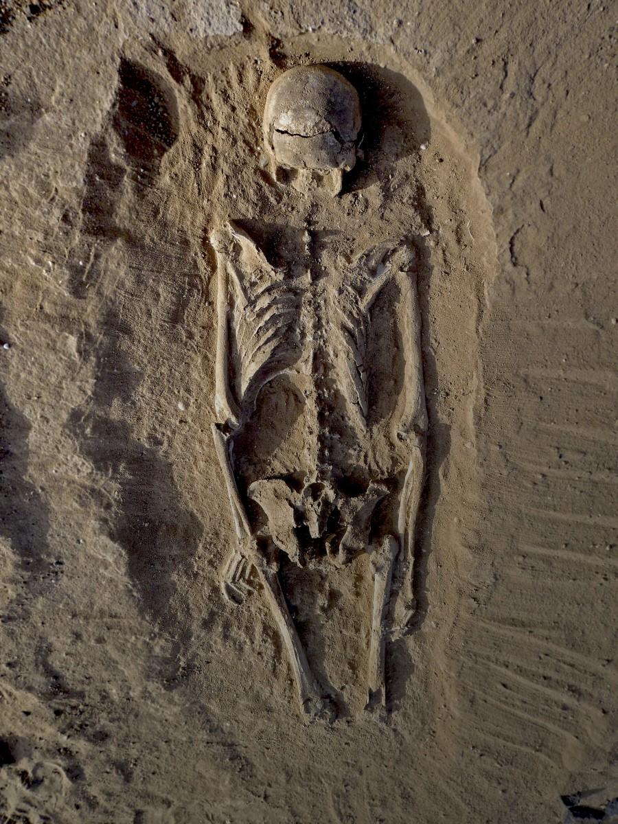 Scientists have found grisly evidence of a massacre in Kenya about 10,000 years ago. Robert Burns,massacre in Kenya,massacre,Prehistoric massacre in Kenya,Prehistoric massacre,fossils,oldest evidence,skeleton,oldest skeleton,human skeleton,human skull